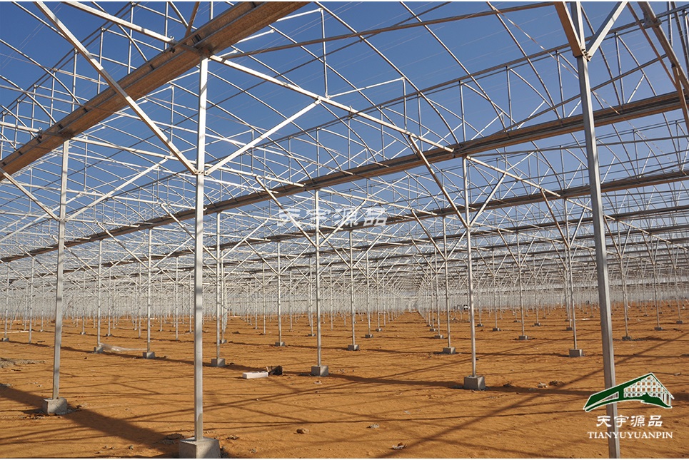埃及现代农业温室项目设计