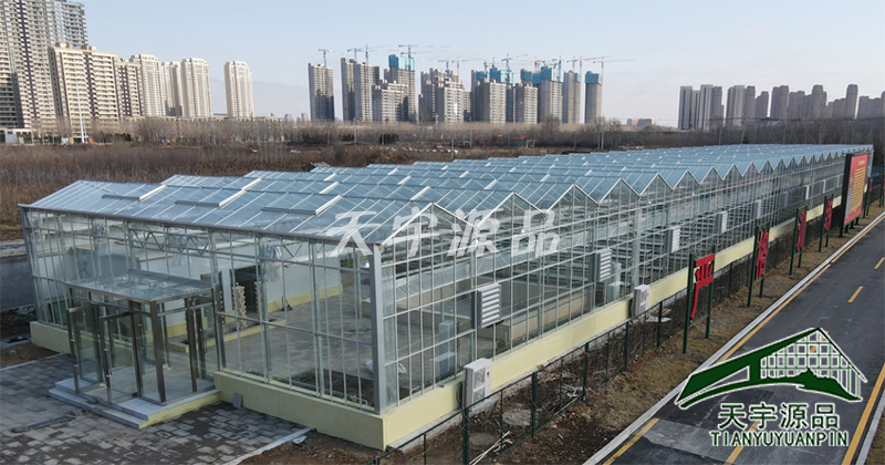 辽宁省政府智能化玻璃温室